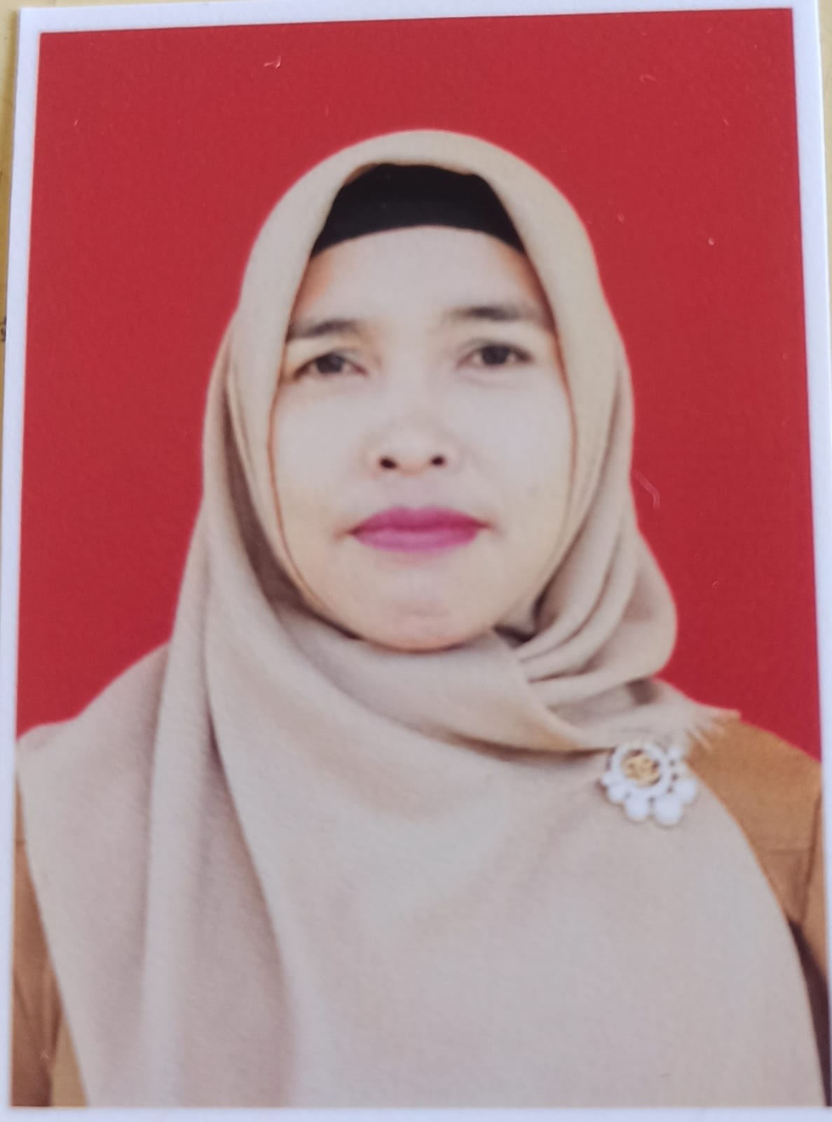 Yulma Deti